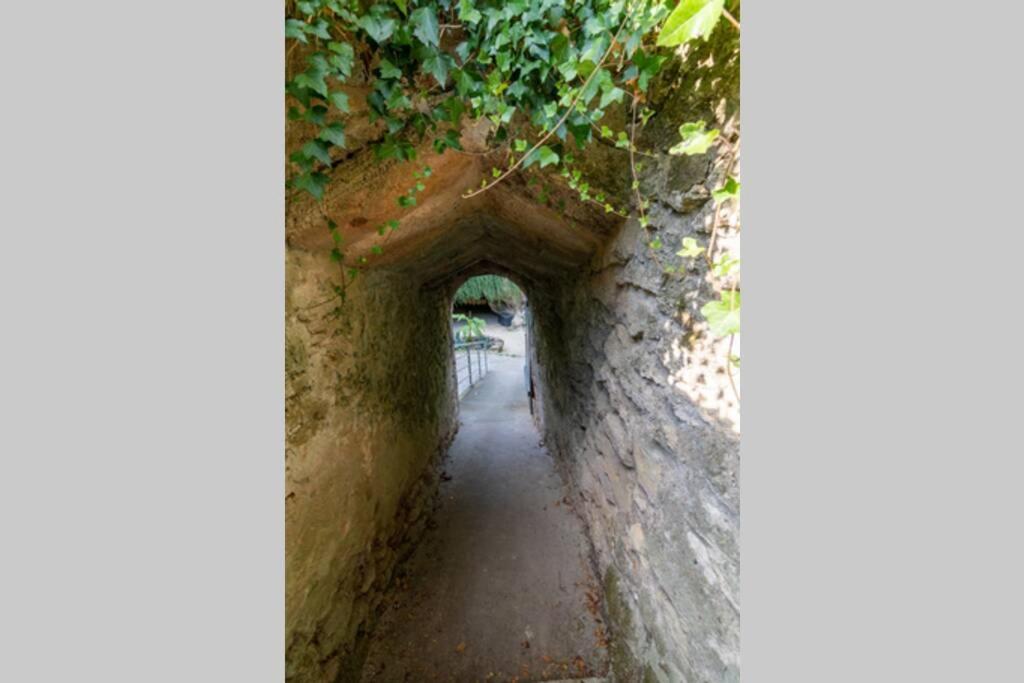 Maison Troglodytique Doue La Fontaine Doué-la-Fontaine Exterior photo